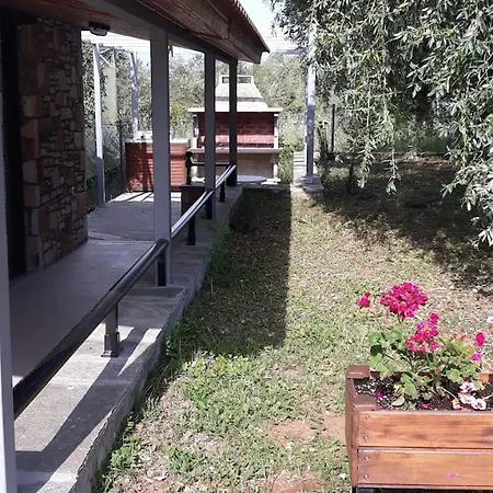 Elizabeth Vilă